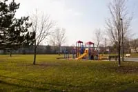 Ground-level view of Beechlawn Park