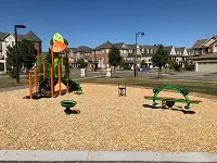 Ground-level view of Jackson Green