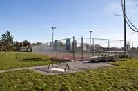 Ground-level view of Shadybrook Park